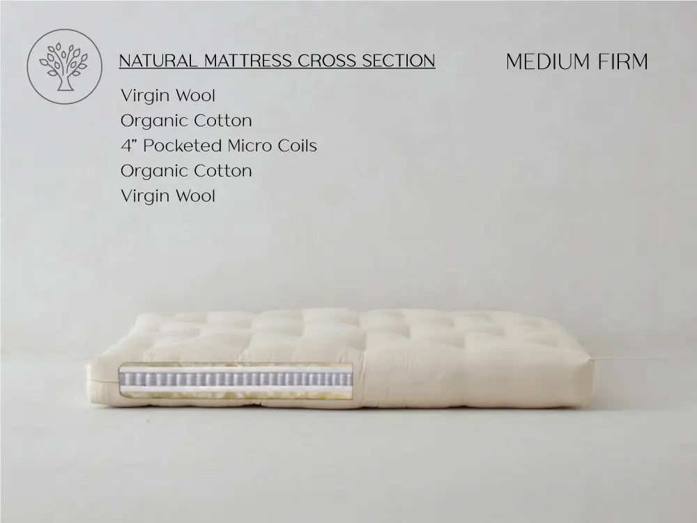 Cozy Nest Futon - Sachi Organics 