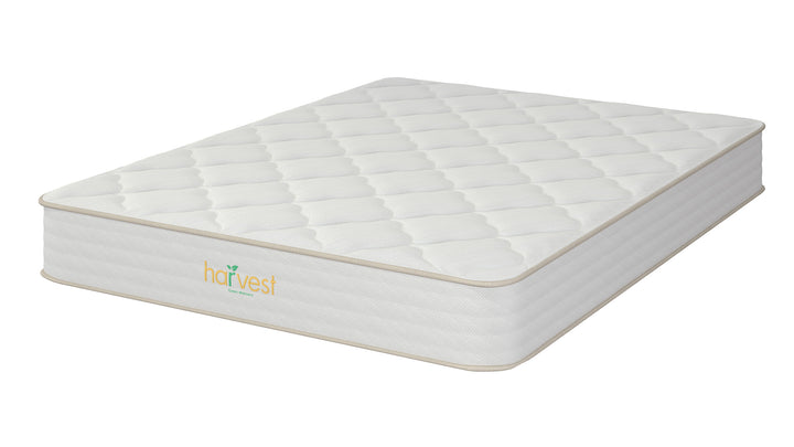 Harvest Green Essentials - Sachi Organics 