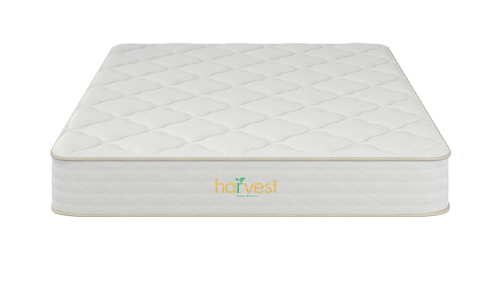 Harvest Green Essentials - Sachi Organics 