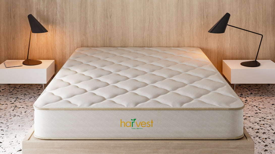 Harvest Green Essentials - Sachi Organics 