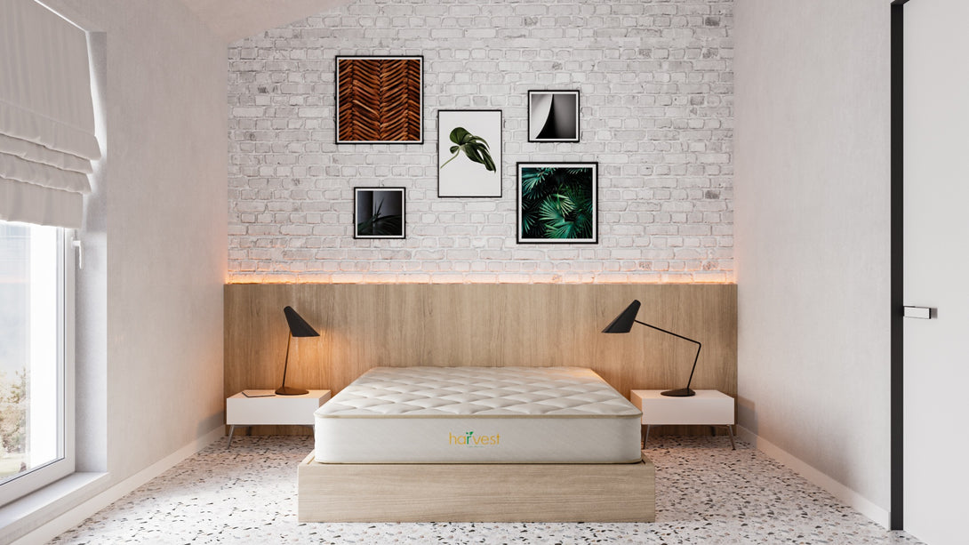 Harvest Green Essentials - Sachi Organics 