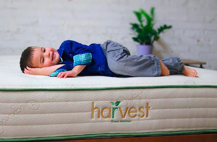 Harvest Green Essentials - Sachi Organics 