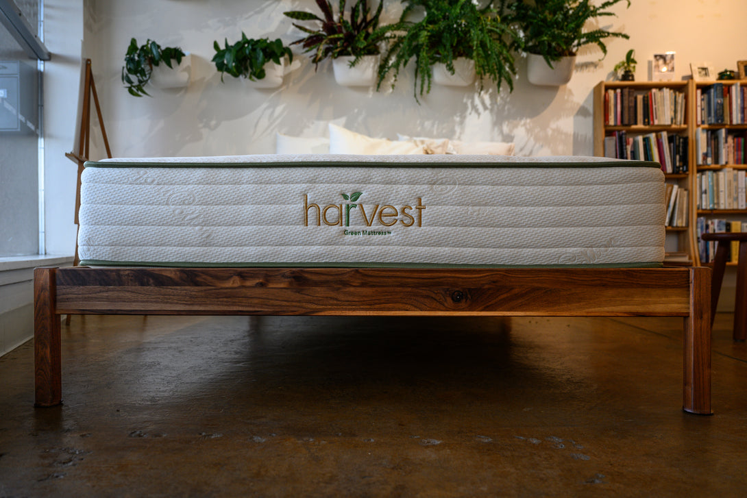 Urban Retreat - Sachi Organics 