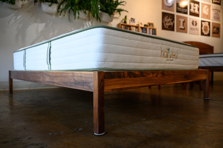 Urban Retreat - Sachi Organics 