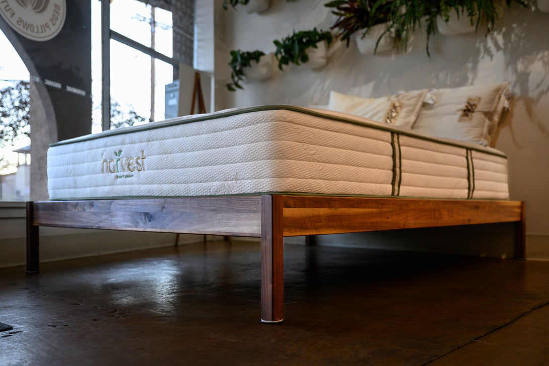 Urban Retreat - Sachi Organics 