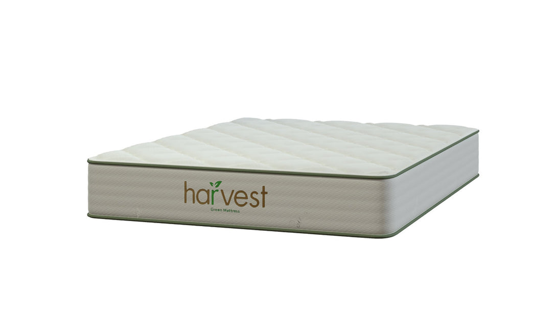 Harvest Green Essentials - Sachi Organics 