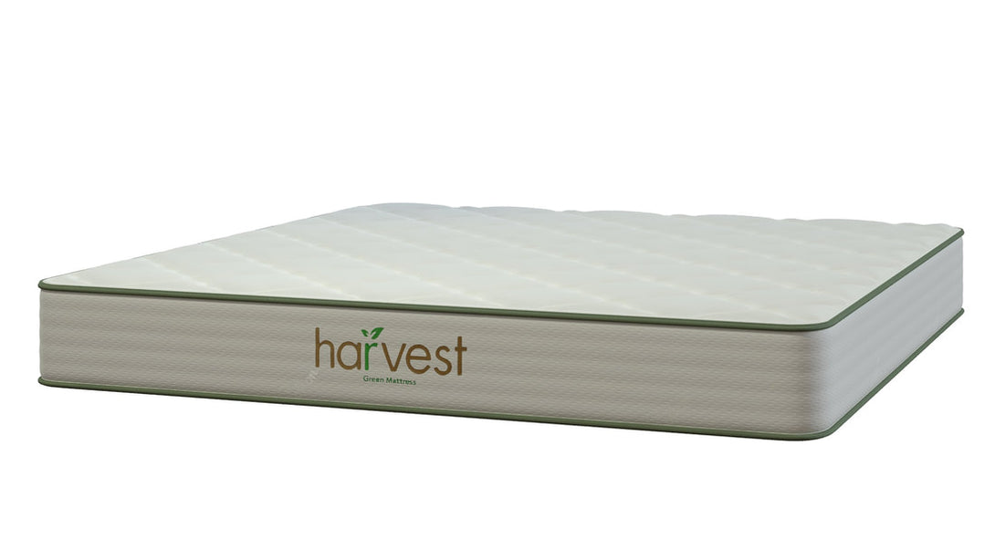 Harvest Green Essentials - Sachi Organics 