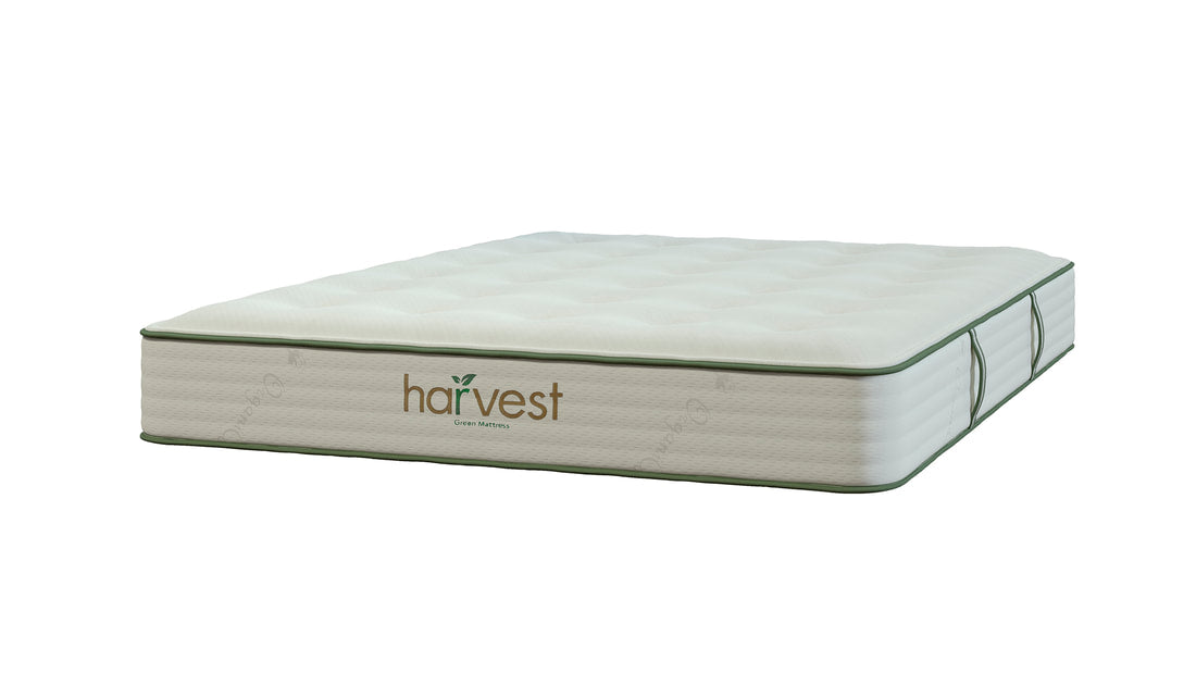 Harvest Green Original Mattress