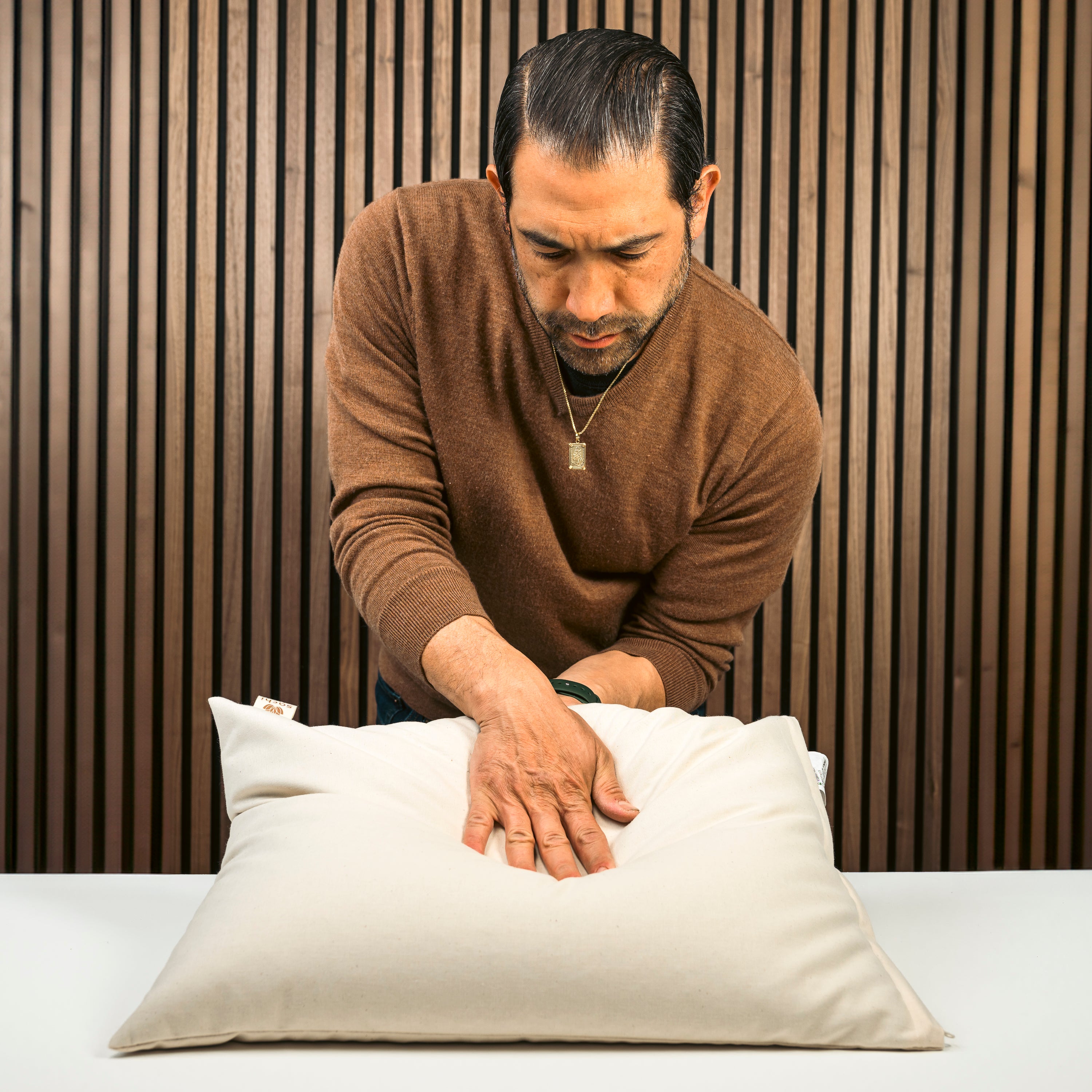 Japanese Size Buckwheat Pillow