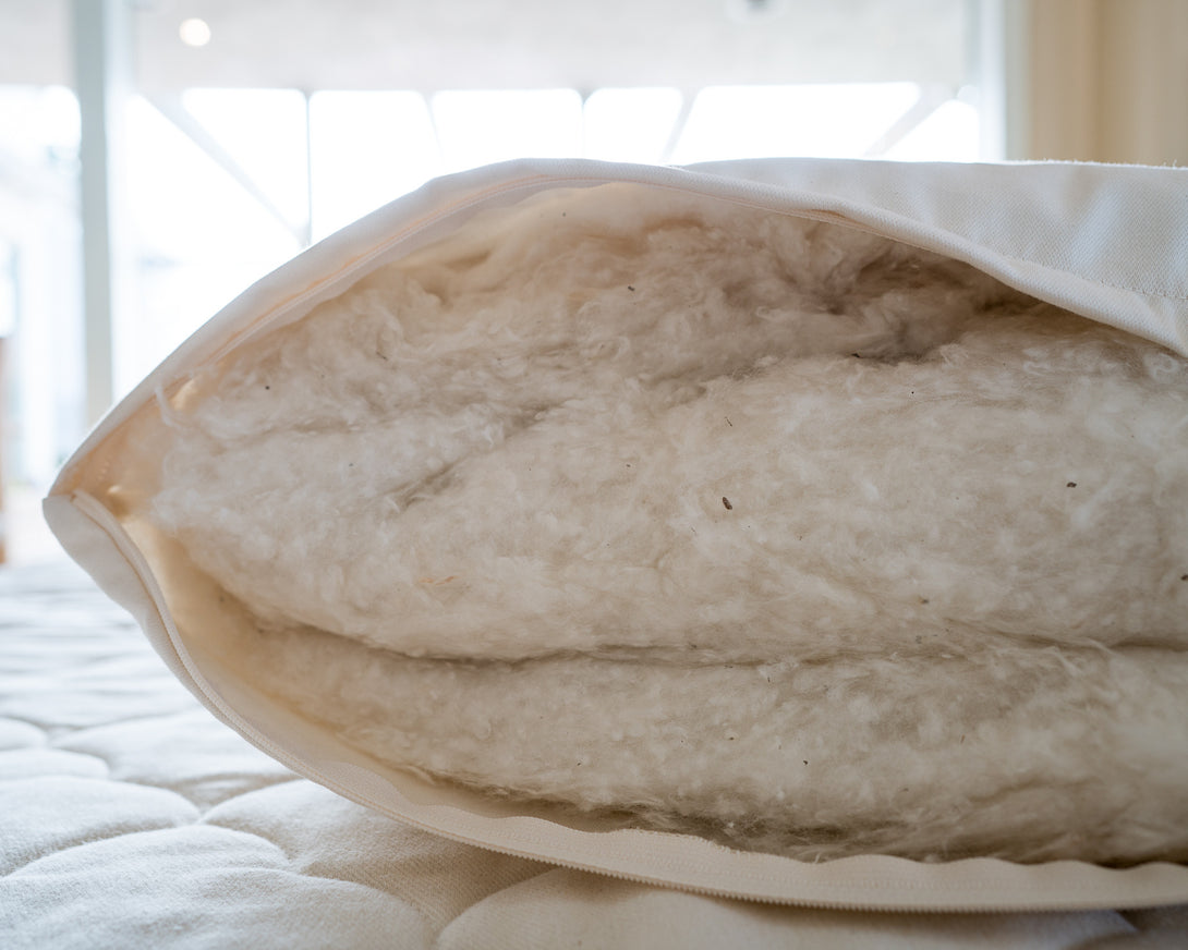 Cotton Pillow - Sachi Organics 